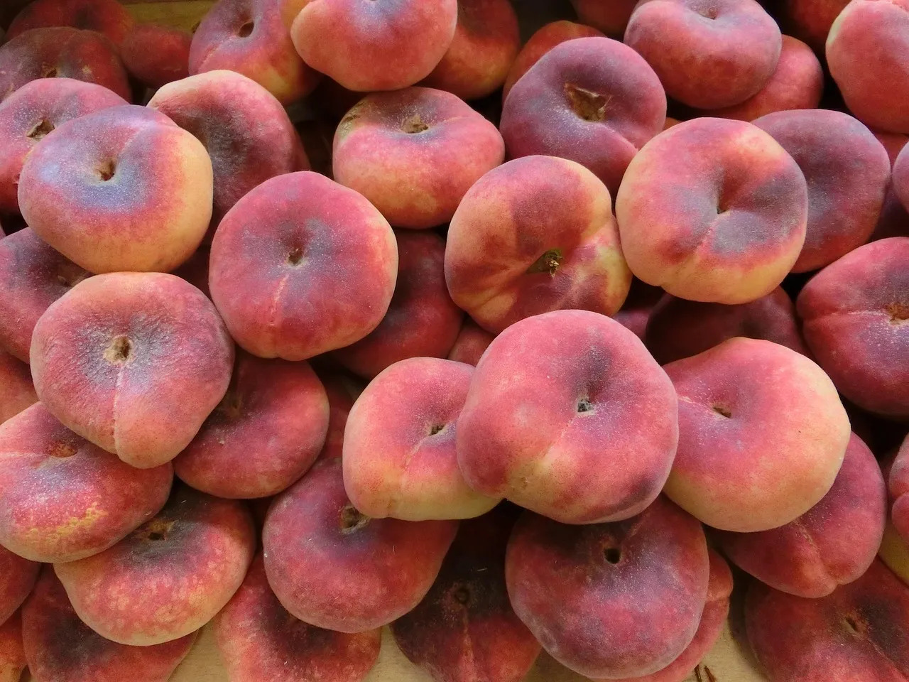 A vitaminhiány és hajhullás összefüggései, megoldások a problémára